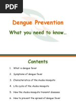 Dengue and Prevention