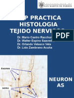 (Lab) Histologia - Tejido Nervioso