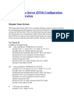 Domain Name Server (DNS) Configuration and Administration