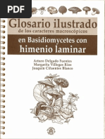 Glosario Ilustrado de Los Caracteres Macroscópicos