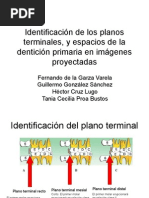 Identificación de Los Planos Terminales, y Espacios