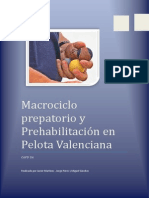 Macrociclo Preparatorio y Prehabilitación en Pilota Valenciana