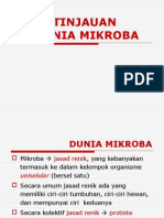 Kuliah 2 (Tinjauan Dunia Mikroba)