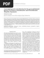 A New Phylogenetic Classification For The Gymnophthalmid Genera Cercosaura, Pantodactylus and Prionodactylus