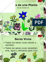 Partes de Una Planta 2B