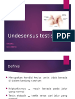 Undesensus Testis