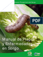 Folleto Sorgo 11