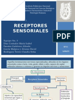 Receptores Sensoriales