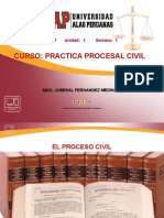 Ayudas 1 - Practica Procesal Civil