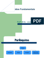 Aula4 Parenquima, Colenquima, Esclerenquima