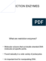 Restriction Enzymes