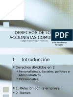 Derechos de Los Accionistas Comunes