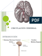 Clase 11 Circulación Cerebral