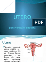 Anatomia Utero