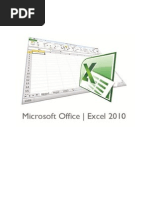 Manual Microsoft Excel 2010