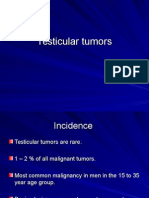 Testicular Tumors