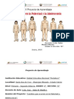 Cambios en La Pubertad y La Adolescencia