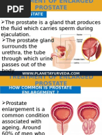 Ayurvedic Treatment of Enlarged Prostate Gland