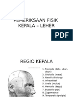 Pemeriksaan Fisik Kepala Leher