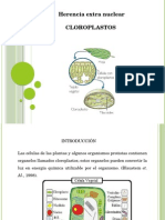 Herencia Extra Nuclear Cloroplasto