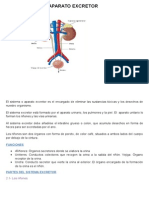 Sistema Excretor