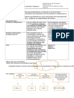 Guia Ejercitación Palabras Parasintéticas