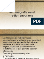 Gammagrafía Renal Radiorrenograma