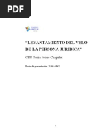 Levantamiento Del Velo de La Persona Jurídica