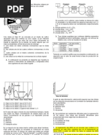 Biol 20042