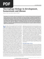 Macrophage Biology in Development, Homeostasis and Disease