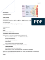 Patologia Mamária - Resumo