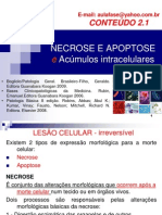 NECROSE E APOPTOSE e Acúmulos Intracelulares