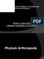 Phylum Arthropoda