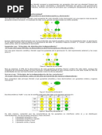 Leyes de Mendel