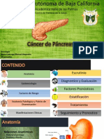 Cancer de Pancreas