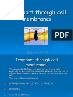 Cell Membrane Transport