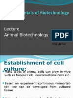 Animal Biotechnology: Haji Akbar