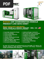 2G CENERGY Product Program Cogen Biogas 60Hz-2013