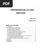 Lunas Llenas - Mapuche