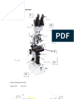 Partes Del Microscopio Binocular