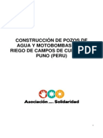 Proyecto Puno Peru PDF