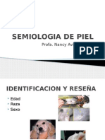 Semiologia de Piel