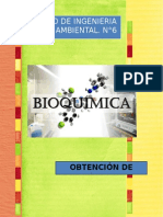 Informe Obtencion de Lipidos