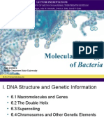 Molecular Biology of Bacteria