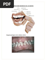 Alteraciones Definitivo