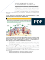 Guia de Ciencias Naturales Sexto Grado # 2