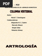 Columna Vertebra 2 PDF