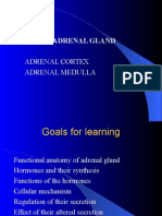 Adrenal Gland: Adrenal Cortex Adrenal Medulla