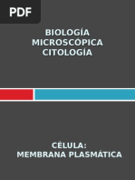 Membrana Plasmática