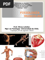 Clase 2. FISIOLOGÍA MUSCULAR Enfermería